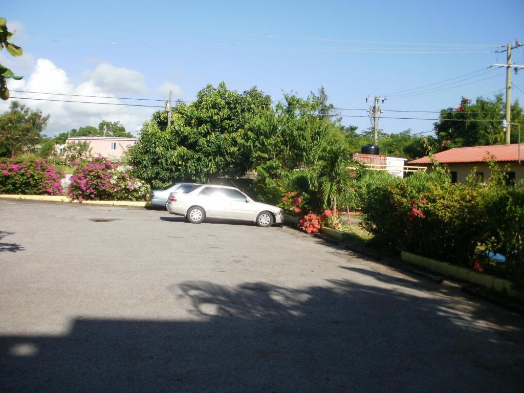 Pineapple Court Hotel Ocho Rios Exterior foto