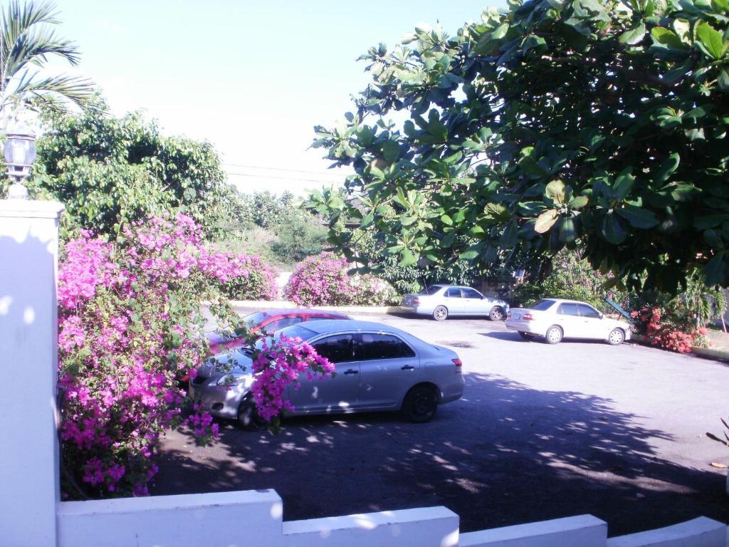 Pineapple Court Hotel Ocho Rios Exterior foto